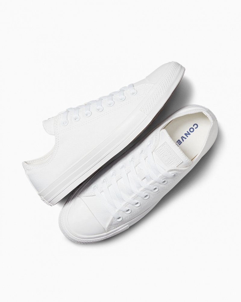 Converse Chuck Taylor All Star Wit | 4023-APBYT